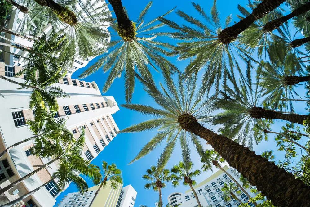 Insuring Your Home or Condo In Deerfield Beach Florida